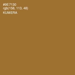 #9E7130 - Kumera Color Image