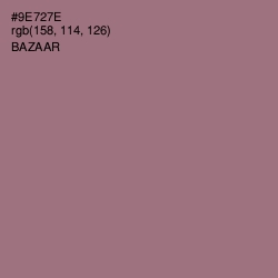 #9E727E - Bazaar Color Image