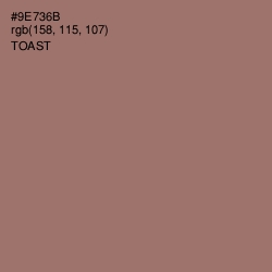 #9E736B - Toast Color Image