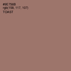 #9E756B - Toast Color Image
