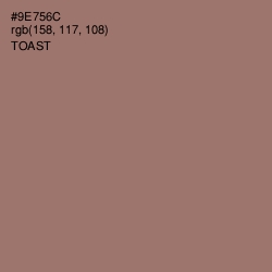 #9E756C - Toast Color Image