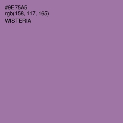 #9E75A5 - Wisteria Color Image