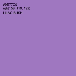 #9E77C0 - Lilac Bush Color Image