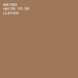 #9E7859 - Leather Color Image