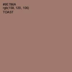 #9E786A - Toast Color Image