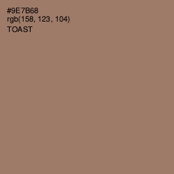 #9E7B68 - Toast Color Image