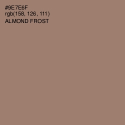 #9E7E6F - Almond Frost Color Image