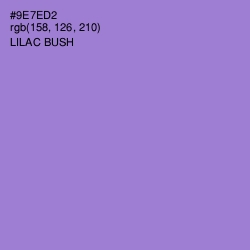 #9E7ED2 - Lilac Bush Color Image