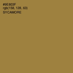 #9E803F - Sycamore Color Image