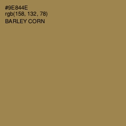 #9E844E - Barley Corn Color Image