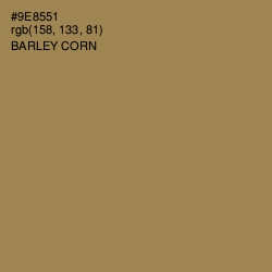 #9E8551 - Barley Corn Color Image