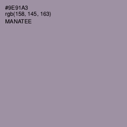 #9E91A3 - Manatee Color Image