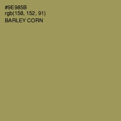 #9E985B - Barley Corn Color Image