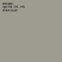 #9E9B91 - Star Dust Color Image