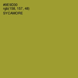 #9E9D30 - Sycamore Color Image