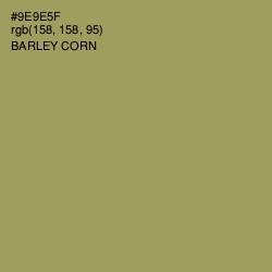 #9E9E5F - Barley Corn Color Image