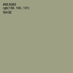 #9EA083 - Sage Color Image