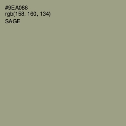 #9EA086 - Sage Color Image