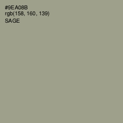 #9EA08B - Sage Color Image