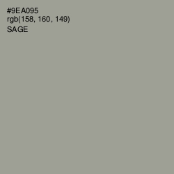 #9EA095 - Sage Color Image