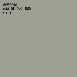 #9EA096 - Sage Color Image