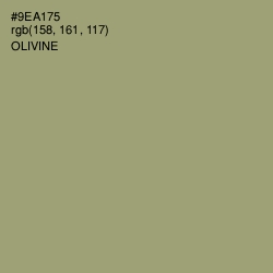 #9EA175 - Olivine Color Image