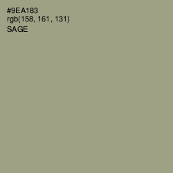 #9EA183 - Sage Color Image