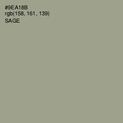#9EA18B - Sage Color Image