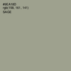 #9EA18D - Sage Color Image