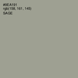 #9EA191 - Sage Color Image