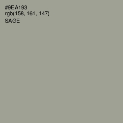 #9EA193 - Sage Color Image