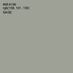 #9EA196 - Sage Color Image