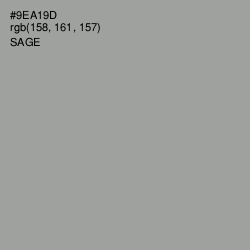 #9EA19D - Sage Color Image