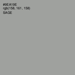 #9EA19E - Sage Color Image