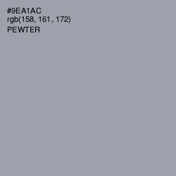 #9EA1AC - Pewter Color Image