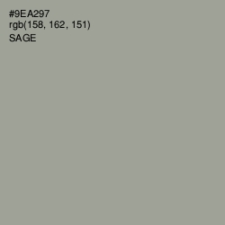 #9EA297 - Sage Color Image