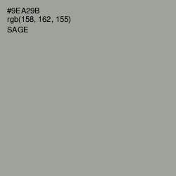 #9EA29B - Sage Color Image