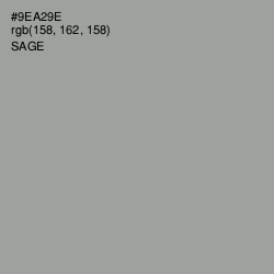 #9EA29E - Sage Color Image