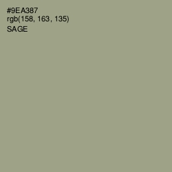 #9EA387 - Sage Color Image