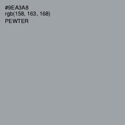 #9EA3A8 - Pewter Color Image