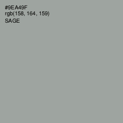 #9EA49F - Sage Color Image