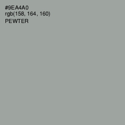 #9EA4A0 - Pewter Color Image