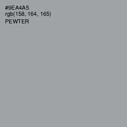 #9EA4A5 - Pewter Color Image