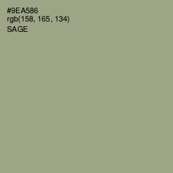 #9EA586 - Sage Color Image