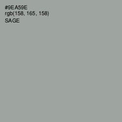 #9EA59E - Sage Color Image