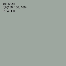 #9EA6A0 - Pewter Color Image