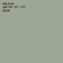 #9EA793 - Sage Color Image