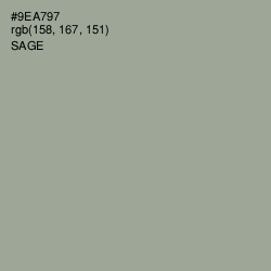 #9EA797 - Sage Color Image