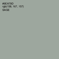 #9EA79D - Sage Color Image