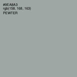 #9EA8A3 - Pewter Color Image